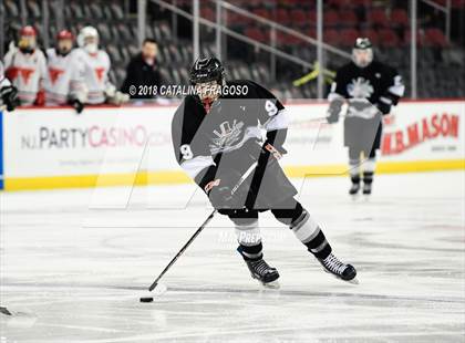 Thumbnail 1 in Hunterdon Central vs Woodbridge (NJSIAA Public A Final) photogallery.