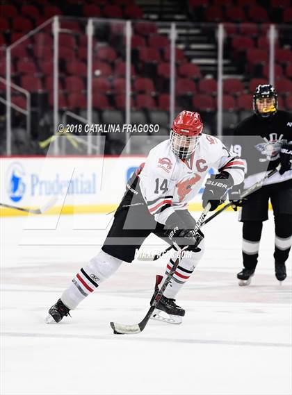 Thumbnail 3 in Hunterdon Central vs Woodbridge (NJSIAA Public A Final) photogallery.