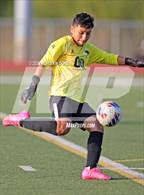Photo from the gallery "Round Lake @ Mundelein"