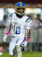Photo from the gallery "Cornell @ Fort Cherry"
