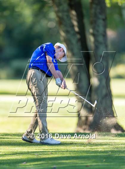Thumbnail 3 in Needham @ Norwood photogallery.