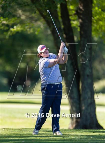 Thumbnail 3 in Needham @ Norwood photogallery.