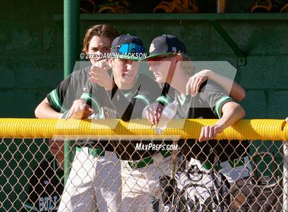 Thumbnail 2 in Needles @ Virgin Valley photogallery.