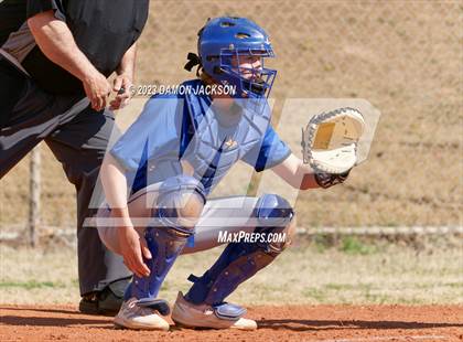 Thumbnail 1 in Needles @ Virgin Valley photogallery.