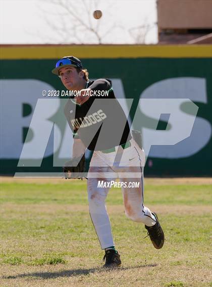 Thumbnail 2 in Needles @ Virgin Valley photogallery.