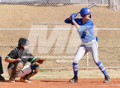 Thumbnail 3 in Needles @ Virgin Valley photogallery.