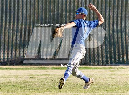 Thumbnail 2 in Needles @ Virgin Valley photogallery.