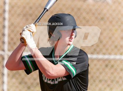 Thumbnail 2 in Needles @ Virgin Valley photogallery.