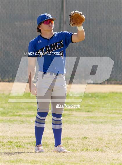 Thumbnail 3 in Needles @ Virgin Valley photogallery.