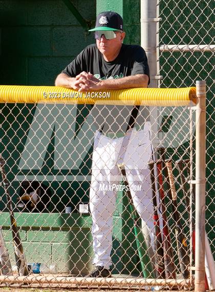 Thumbnail 1 in Needles @ Virgin Valley photogallery.