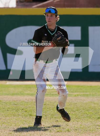 Thumbnail 1 in Needles @ Virgin Valley photogallery.