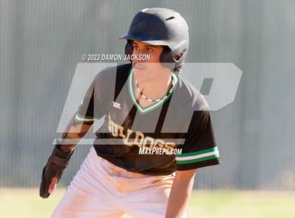 Thumbnail 1 in Needles @ Virgin Valley photogallery.