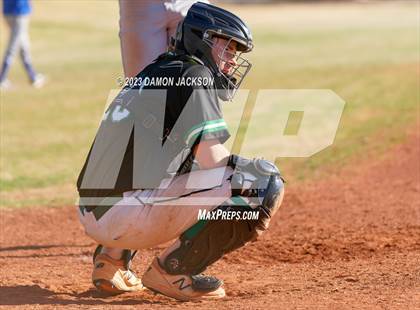 Thumbnail 3 in Needles @ Virgin Valley photogallery.