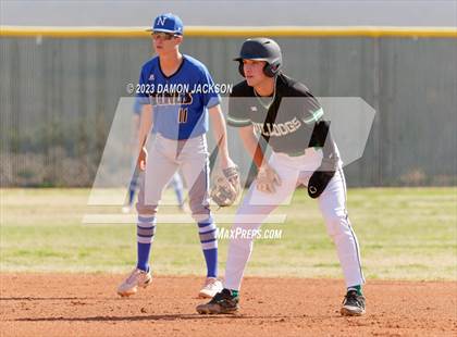 Thumbnail 1 in Needles @ Virgin Valley photogallery.