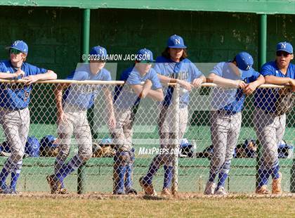 Thumbnail 3 in Needles @ Virgin Valley photogallery.