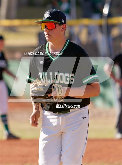 Thumbnail 2 in Needles @ Virgin Valley photogallery.