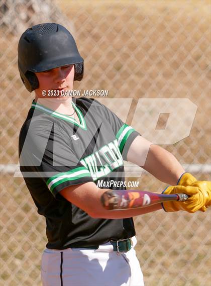 Thumbnail 2 in Needles @ Virgin Valley photogallery.