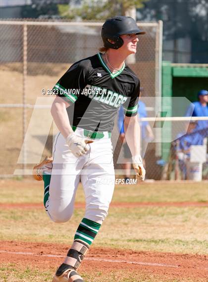 Thumbnail 3 in Needles @ Virgin Valley photogallery.