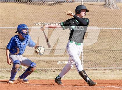 Thumbnail 1 in Needles @ Virgin Valley photogallery.