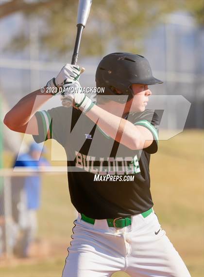 Thumbnail 2 in Needles @ Virgin Valley photogallery.