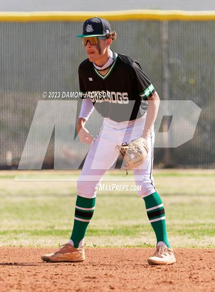 Thumbnail 1 in Needles @ Virgin Valley photogallery.