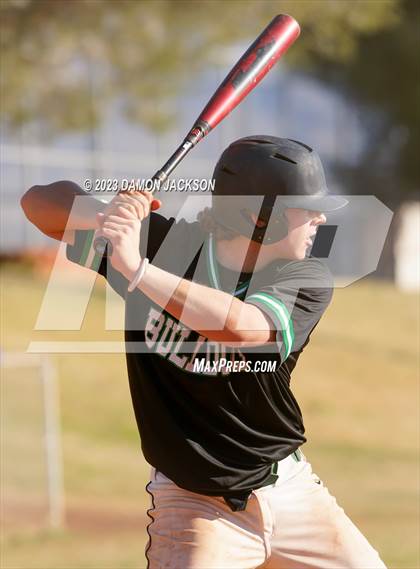 Thumbnail 3 in Needles @ Virgin Valley photogallery.