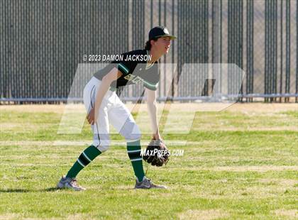 Thumbnail 2 in Needles @ Virgin Valley photogallery.