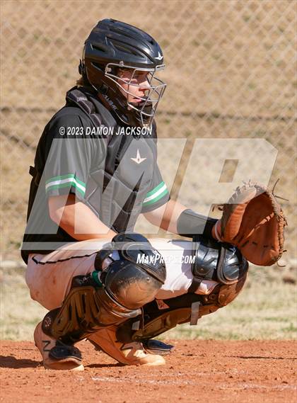 Thumbnail 1 in Needles @ Virgin Valley photogallery.