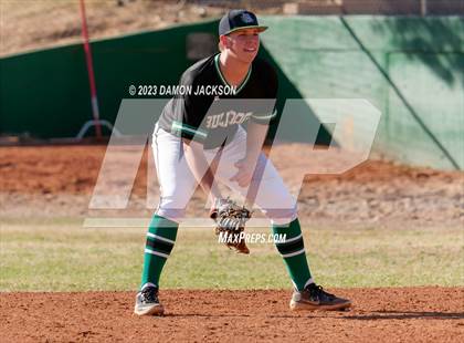 Thumbnail 1 in Needles @ Virgin Valley photogallery.