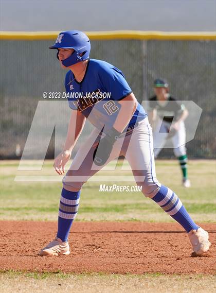 Thumbnail 3 in Needles @ Virgin Valley photogallery.