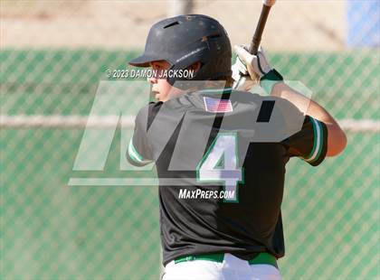 Thumbnail 2 in Needles @ Virgin Valley photogallery.