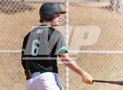 Thumbnail 3 in Needles @ Virgin Valley photogallery.