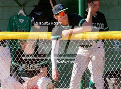 Thumbnail 1 in Needles @ Virgin Valley photogallery.