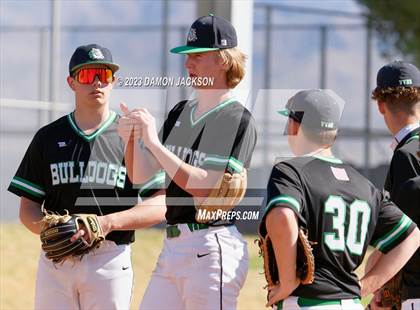 Thumbnail 3 in Needles @ Virgin Valley photogallery.