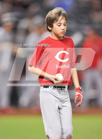 Thumbnail 3 in Boulder Creek vs Coconino  photogallery.