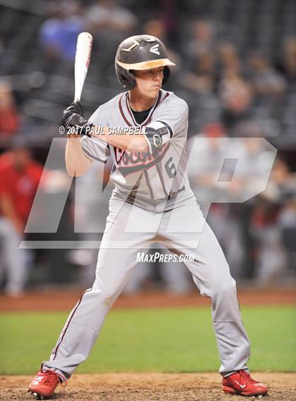 Thumbnail 2 in Boulder Creek vs Coconino  photogallery.