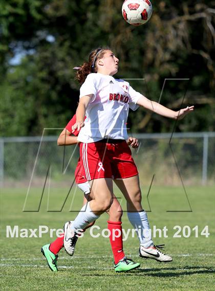 Thumbnail 1 in Beyer @ Bella Vista (CIF SJS D2 Playoff) photogallery.