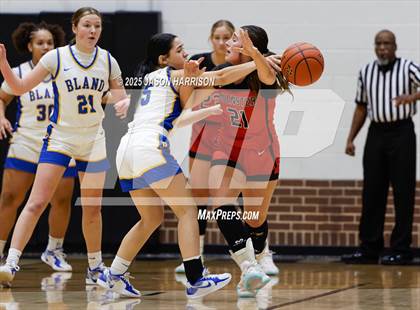 Thumbnail 2 in Muenster @ Bland (UIL Basketball 2A D1 Region 2 Bi-District) photogallery.