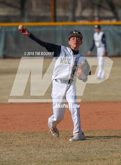Thumbnail 2 in Mountain Vista @ Mullen photogallery.