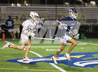 Thumbnail 1 in Palmetto @ Boca Raton photogallery.