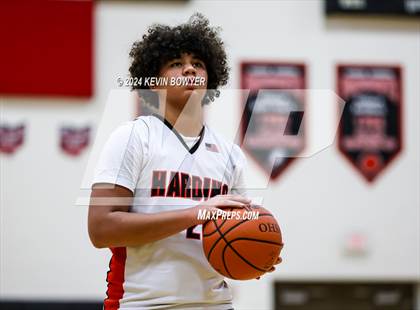 Thumbnail 1 in Licking Heights @ Marion Harding photogallery.