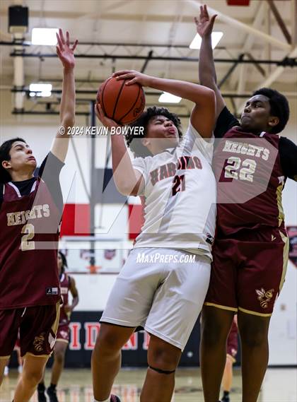 Thumbnail 1 in Licking Heights @ Marion Harding photogallery.