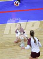Photo from the gallery "Palisade vs. Montrose (CHSAA 4A First Round Elimination Bracket)"