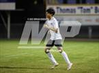 Photo from the gallery "Mulberry @ Auburndale"