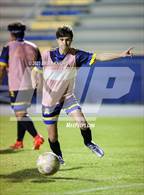 Photo from the gallery "Mulberry @ Auburndale"