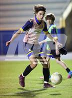 Photo from the gallery "Mulberry @ Auburndale"