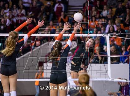 Thumbnail 1 in Lewis-Palmer vs. Ponderosa (CHSAA 4A Final) photogallery.