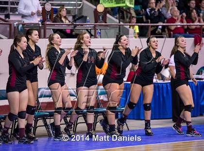 Thumbnail 1 in Lewis-Palmer vs. Ponderosa (CHSAA 4A Final) photogallery.