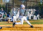 Photo from the gallery "St. Anthony's @ St. Dominic"