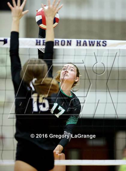 Thumbnail 1 in Carroll @ Hebron photogallery.